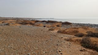2024-03-Playa_el_Cardon-21.jpg